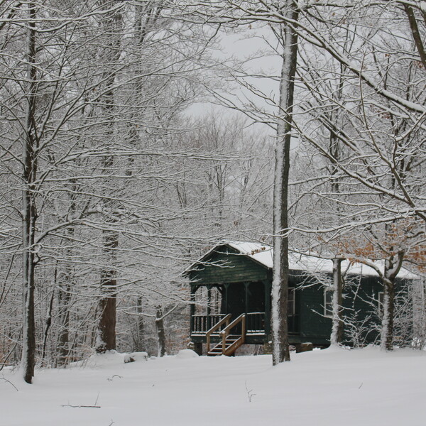 Cabin at Allegany State Park