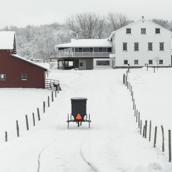 Amish buggy going down their driveway in the Winter