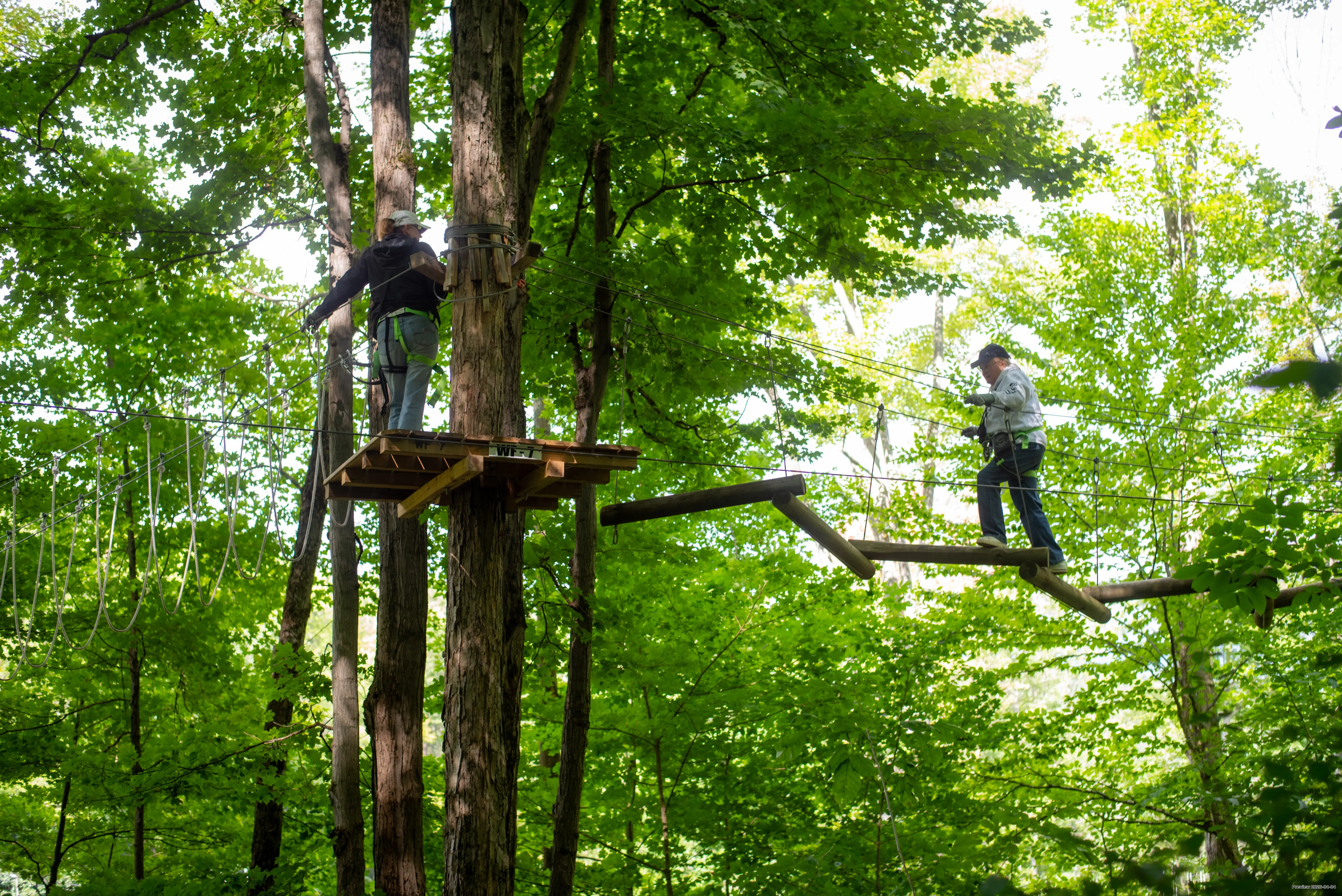 Exploring the treetops at Sky High