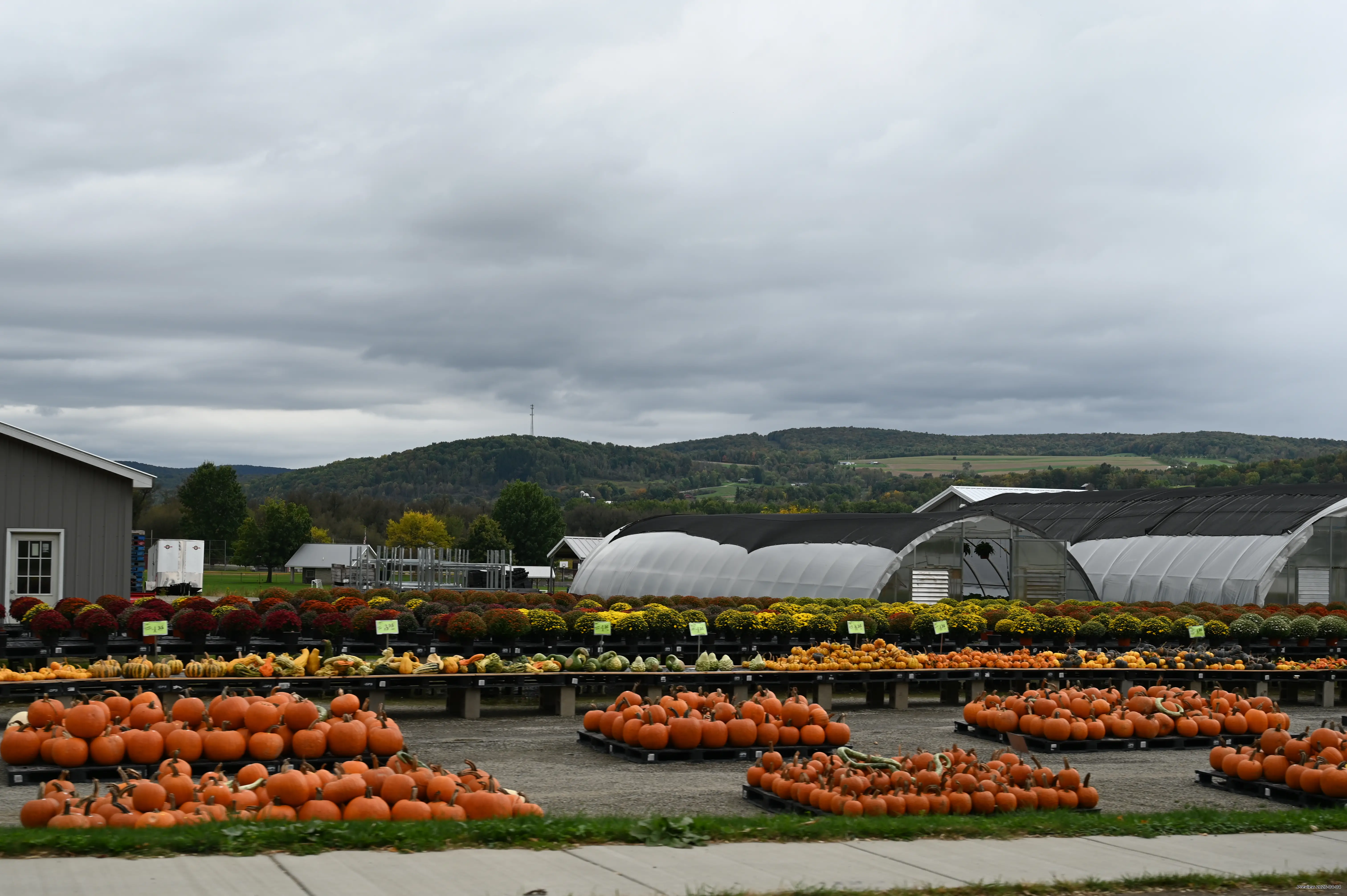 Pumpkins for sale at Randolph Peaches & Cream