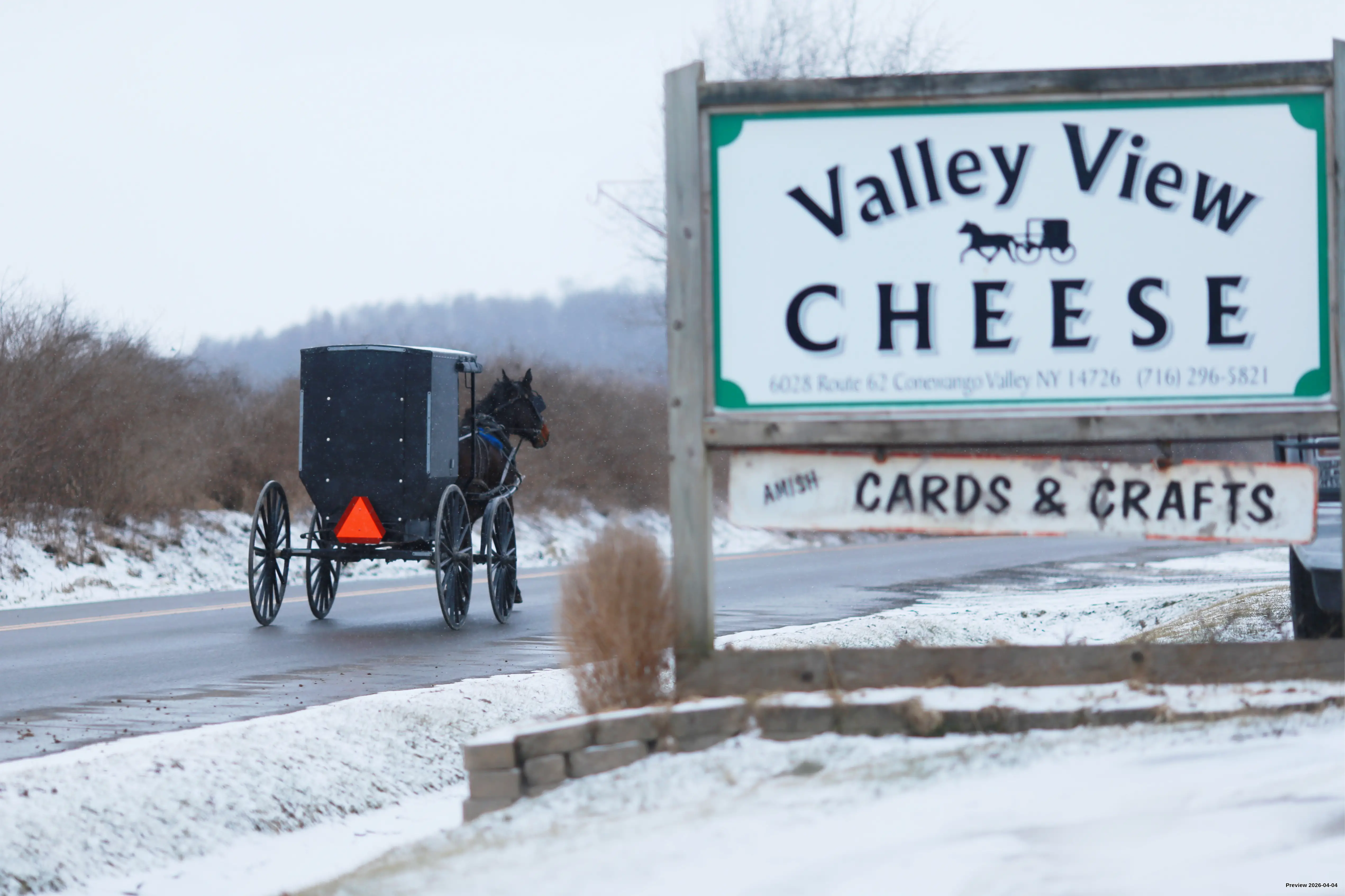Amish Buggy going by Valley View Cheese in Winter