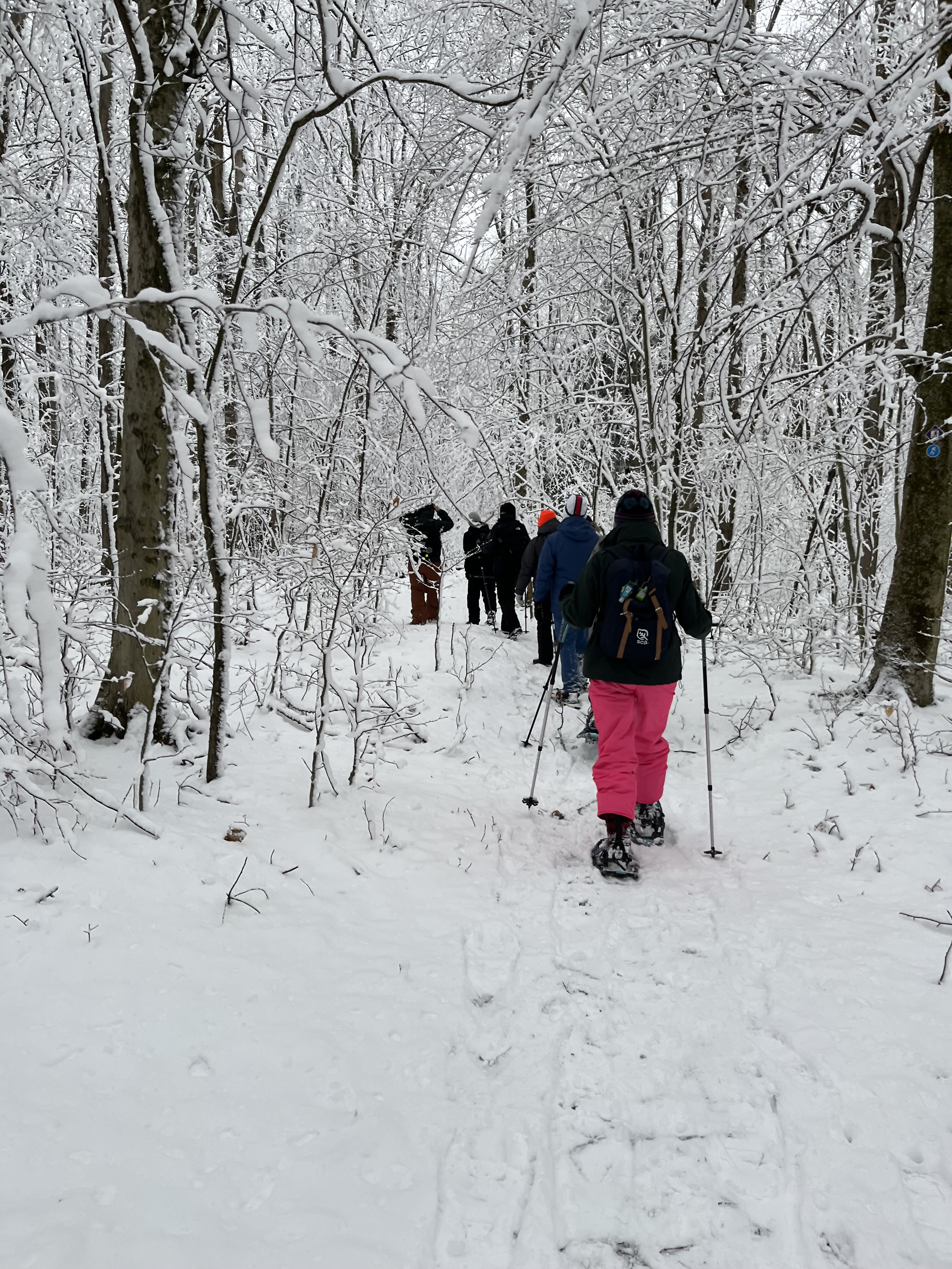 Snowshoeing through Allegany State Park on a wintry day