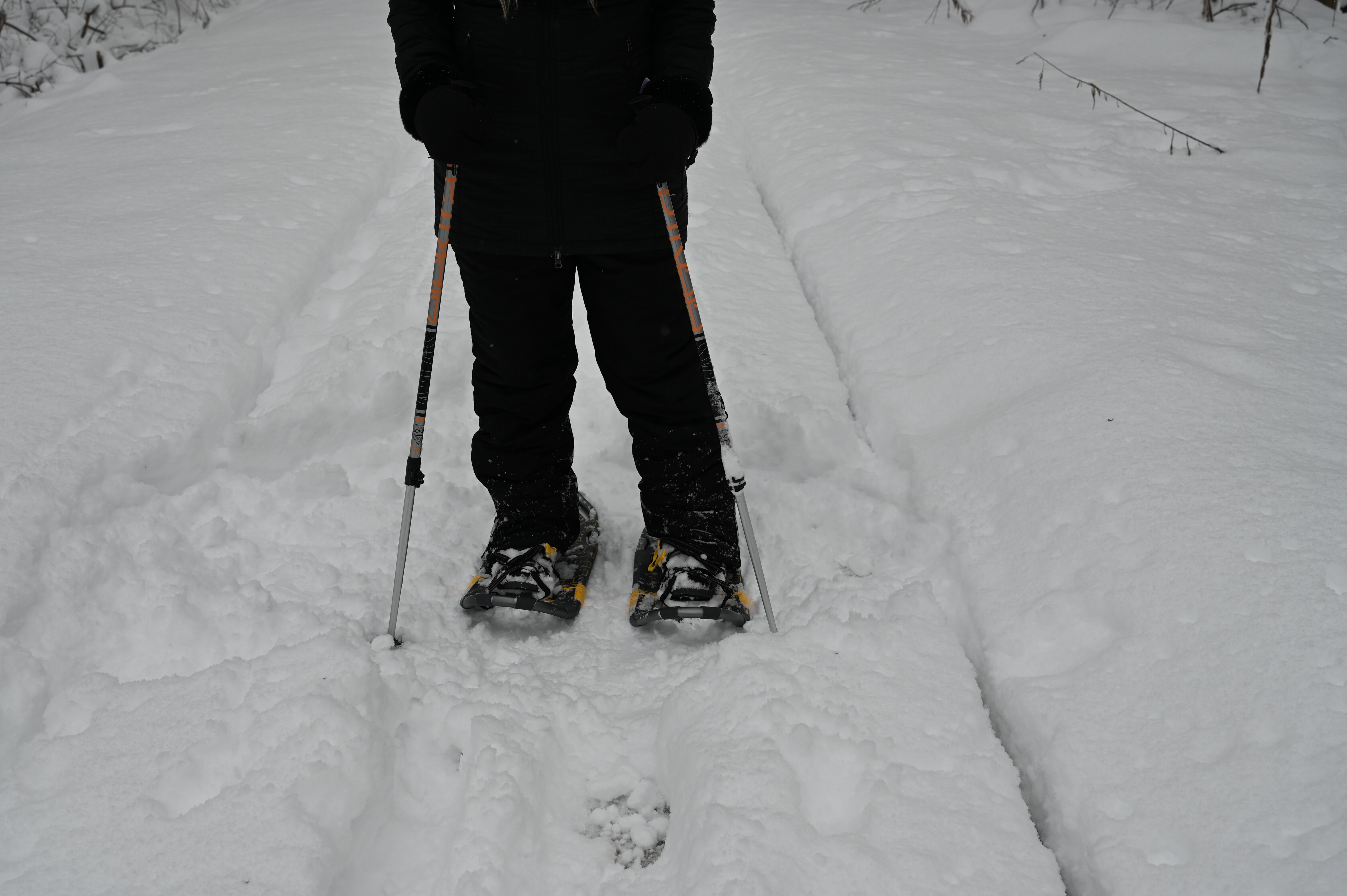 Snowshoes and poles