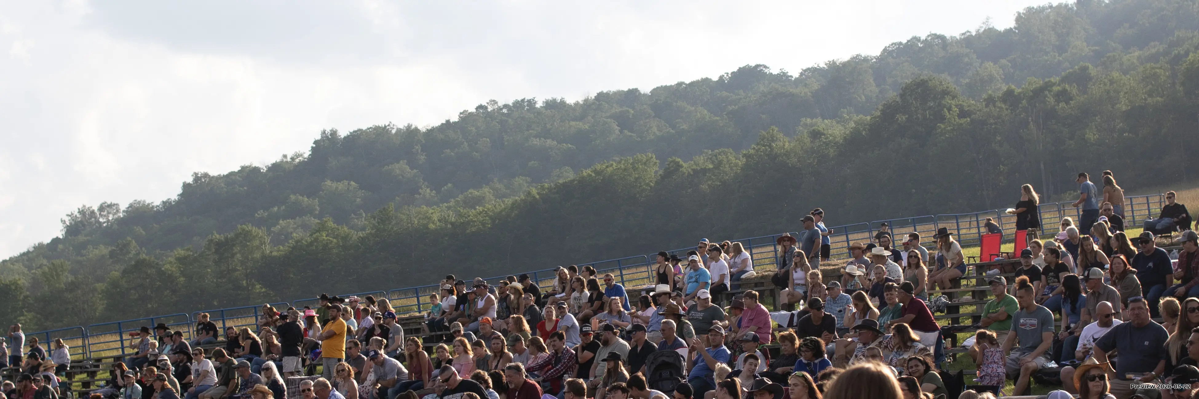 Tree line and some of the crowd. Photo by Kaylin Kavanagh