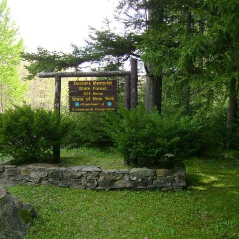 State Forest Sign