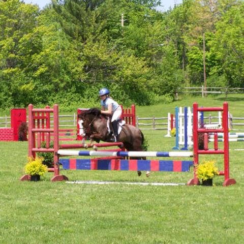 Girl and horse jumping at a horse show