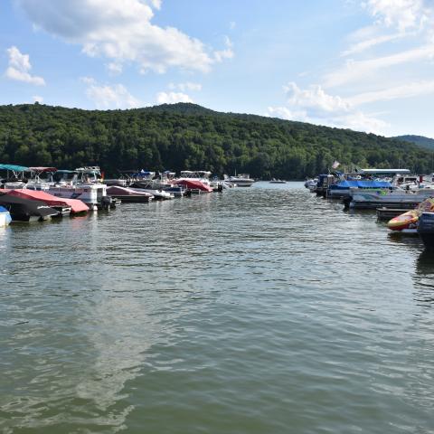 Boats docked at Onoville Marina Park