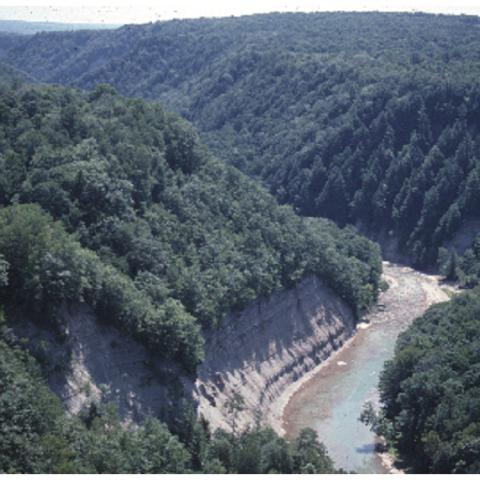 View at Zoar Valley