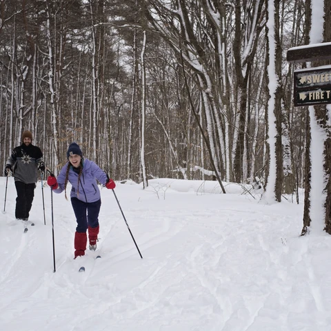 Cross Country Skiing