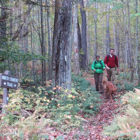 Autumn Hiking at Allegany State Park