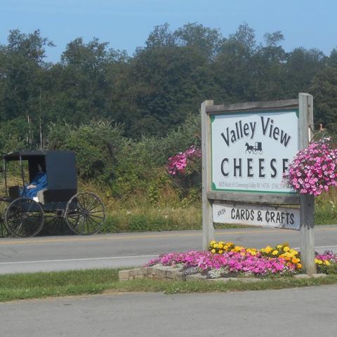 Valley View Cheese Sign