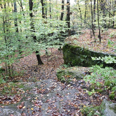 A view of an area at Little Rock City State Forest.