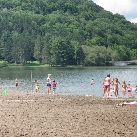 People at Red House Beach in the Summer 2009, Allegany State Park