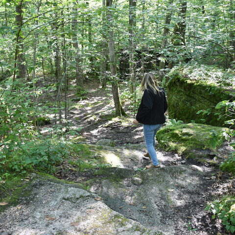 Sam at Little Rock City Park in the Summer