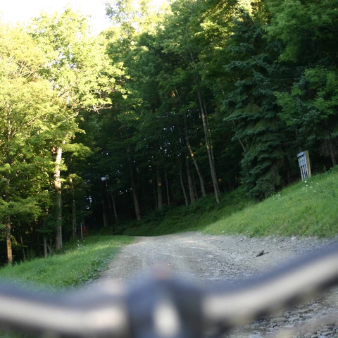 On MTB looking up HV trail