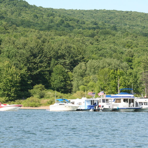 Houseboats and boats near Onoville Marina Park, 2007