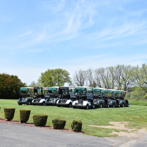 Golf Carts at Ischua Valley Country Club