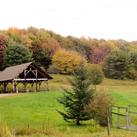 Pavilion at Pfeiffer Nature Center