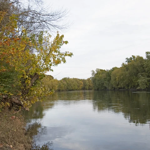 Allegheny River in the Fall