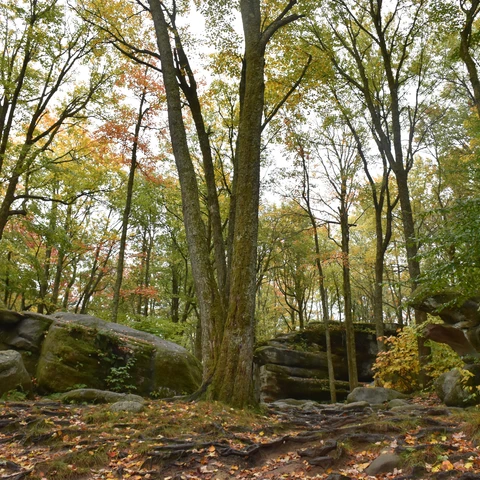 A view of some of the rocks at Thunder Rocks