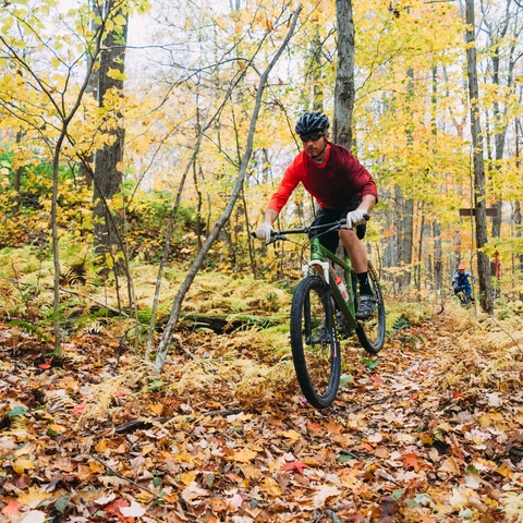 Mountain Biking near Little Rock City in Cattaraugus County