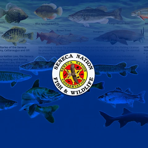 Various fish from the Seneca Nation of Indians with the logo of the Seneca Nation Fish & Wildlife (Seneca Nation Conservation)