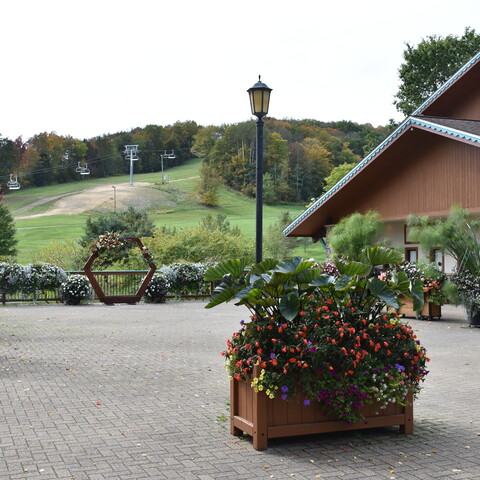 View of the Summer slopes from next to the Lodge at Holiday Valley Resort
