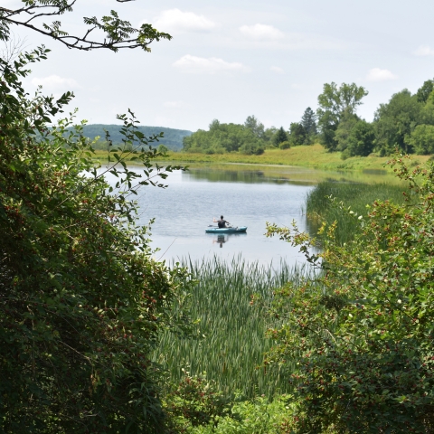 Kayaker at Harwood Lake