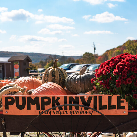 Pumpkinville