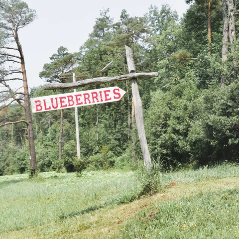 sign at Pepper's Hill Blueberry farm
