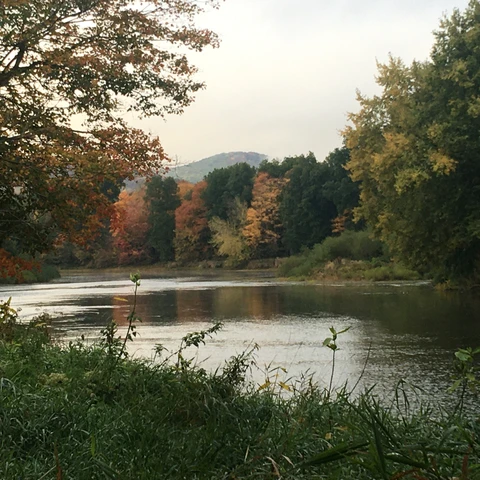 Allegheny River during the fall season