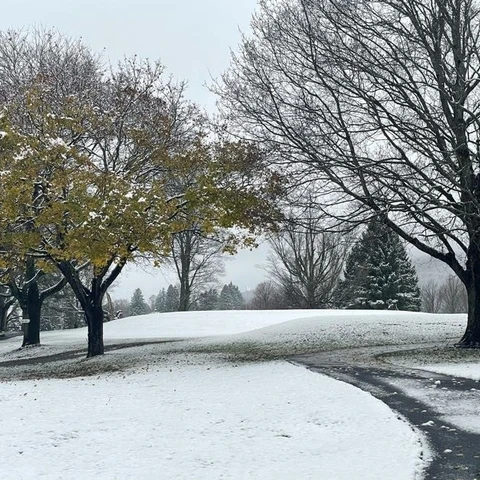 Autumn meets Winter - First snowfall of 2024 