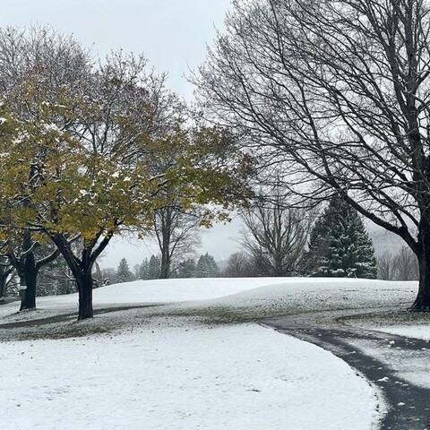 first snowfall of 2024 on trees