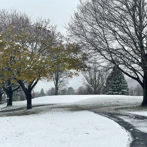 first snowfall of 2024 on trees