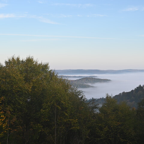 Route 16 Vista in Olean, NY on a foggy morning