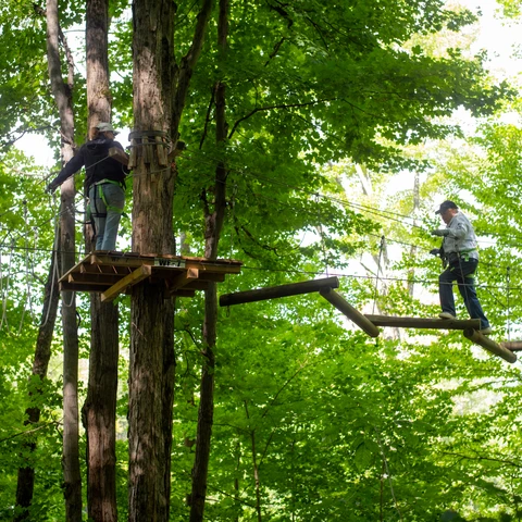 Exploring the treetops at Sky High
