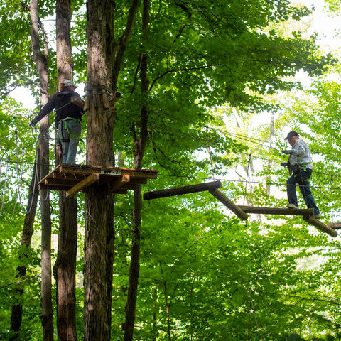 Exploring the treetops at Sky High