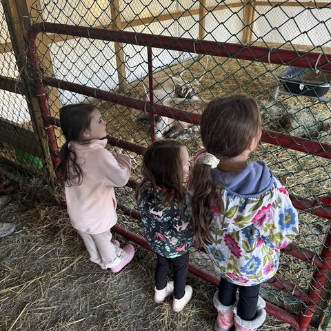 Kids seeing the Reindeer at Sprague's Maple Farms