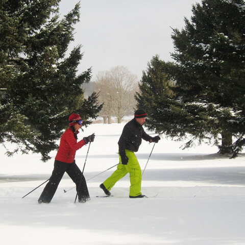 A couple cross country skiing around the golf course at Holiday Valley Resort (2016)