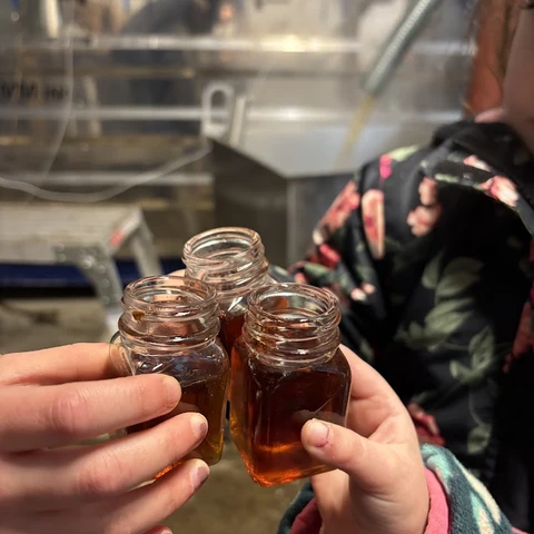 Maple tasting at 353 Maple