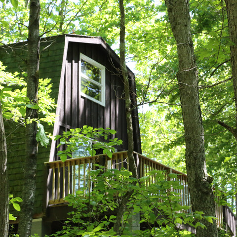 Cabin at Highbanks