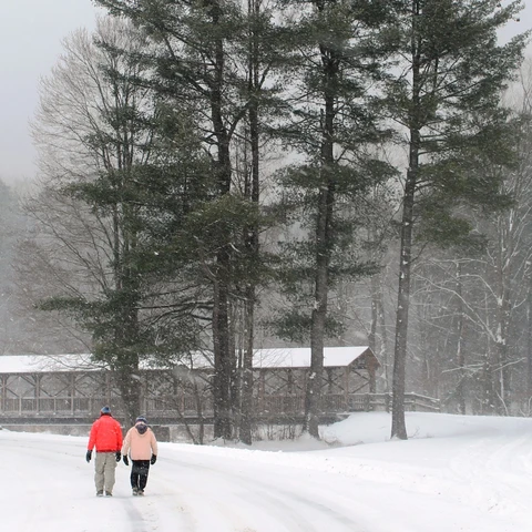 Walking by the covered bridge at Allegany State Park