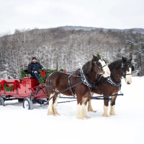 Carriage rides in the Winter at The Little Red Barn Farm
