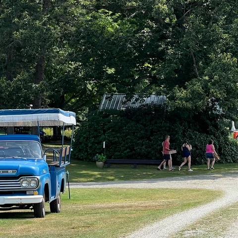 People heading to the fields to pick blueberries
