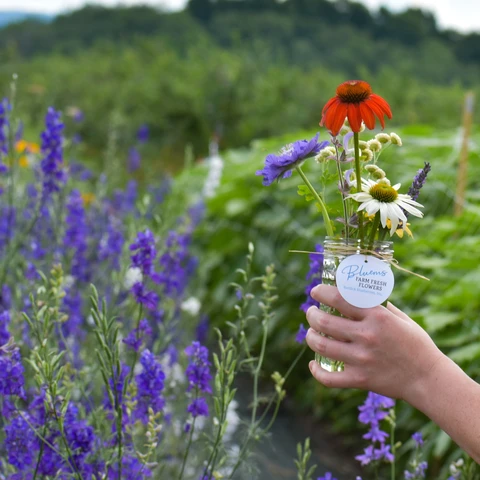 Flowers picked at Burdicks