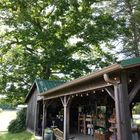 Store at Burdicks