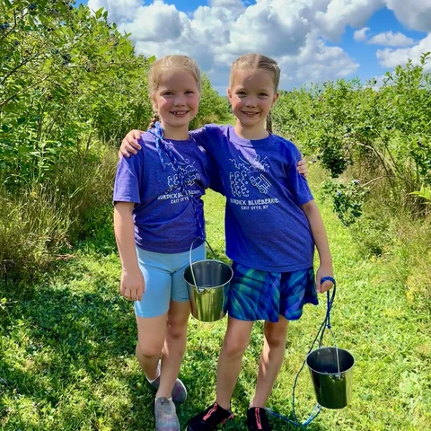 Kids picking blueberries at Burdicks