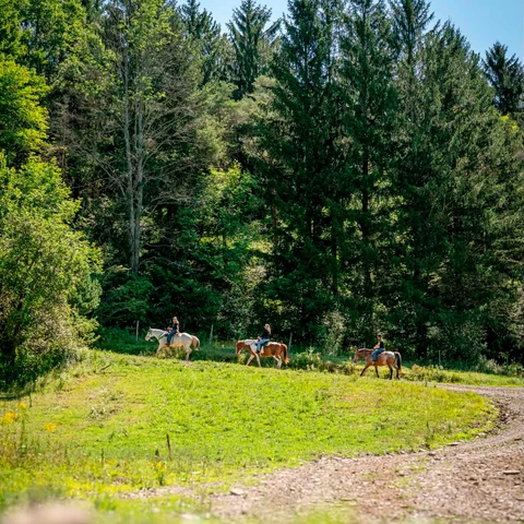 Horseback riding with Whisper Mountain Ranch