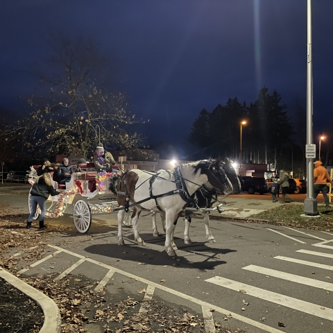 Horse and carriage ride at the Jingle Bell Jubilee