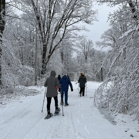 Snowshoeing through a winter wonderland at Allegany State Park